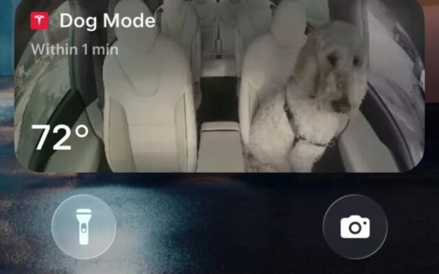 Tesla app 4.59.5: Pet Mode és AI-asszisztens újítások