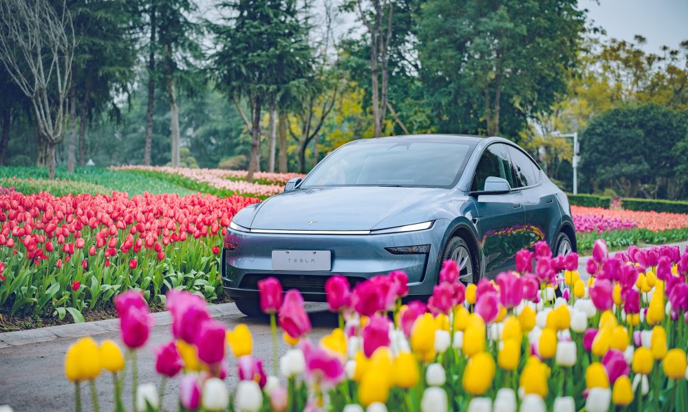 Tesla Vietnamban: új fejezet Délkelet-Ázsiában